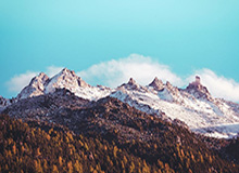 世界杯投注-18小时内连续输两场 上港的亚冠之路难于上青天